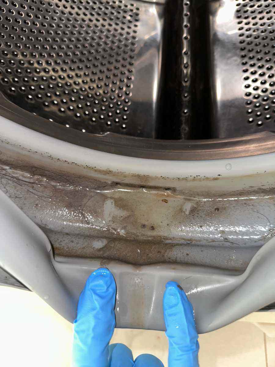 證明洗衣機真的骯髒🦠Siemens西門子前置式洗衣機 WD12D460HK/08