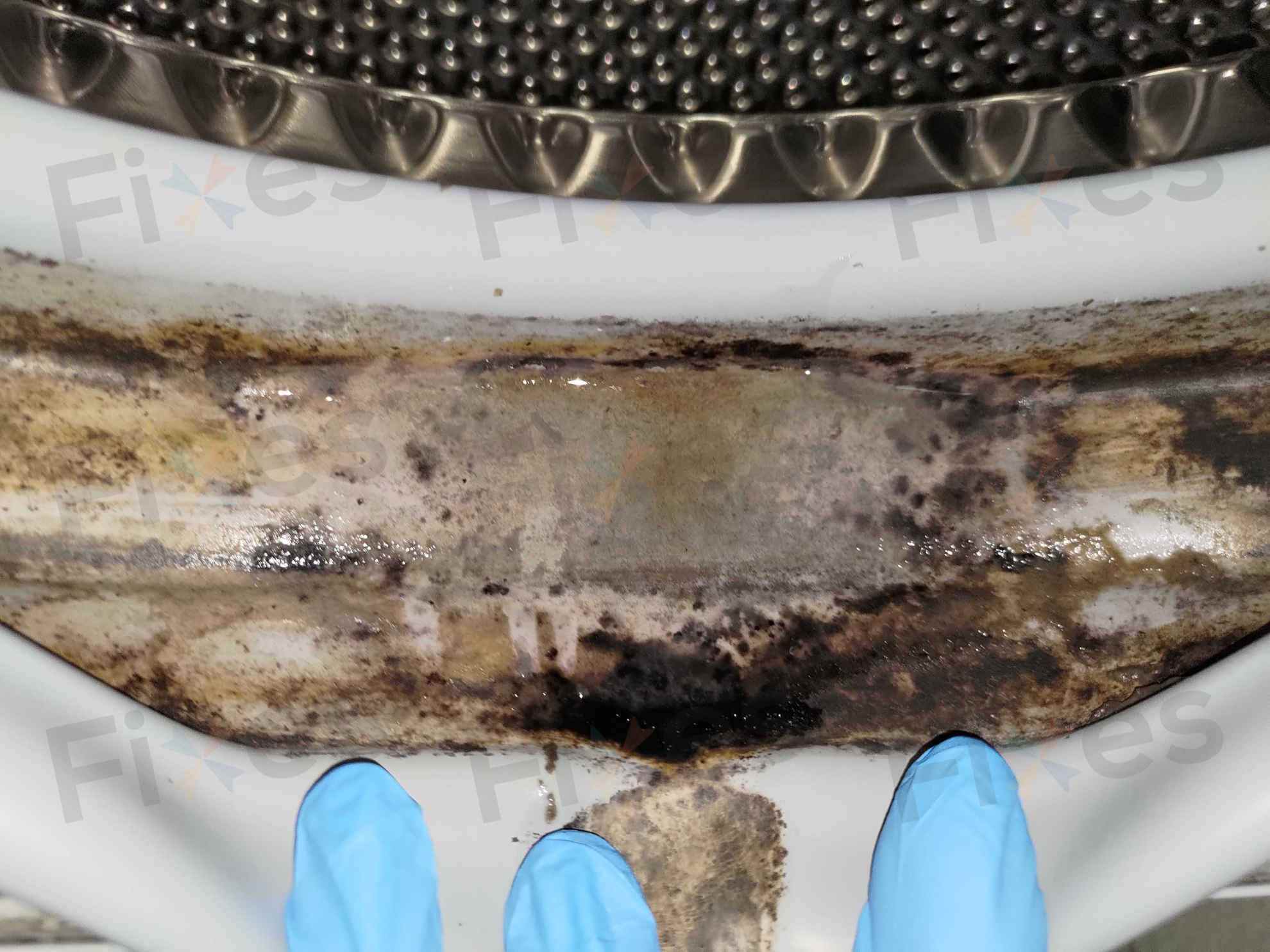 黑色污垢與霉菌挑戰🧽Siemens西門子前置式洗衣機 WM10E162HK/66FD