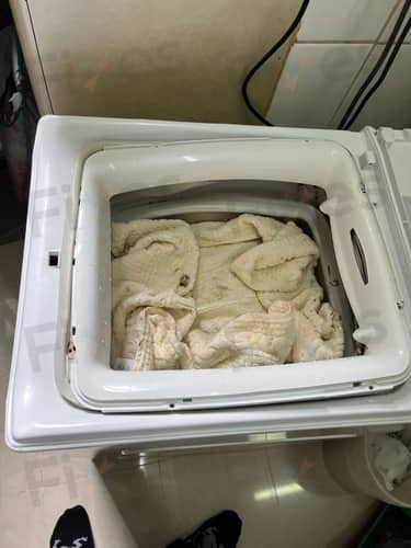 相關相片
