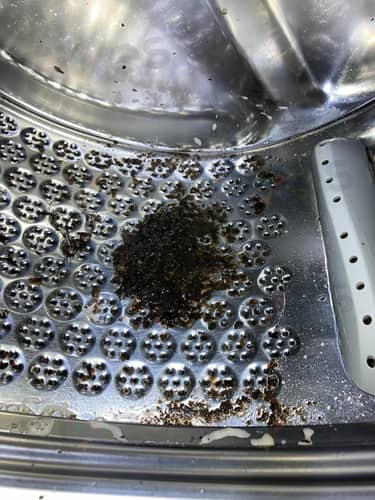相關相片