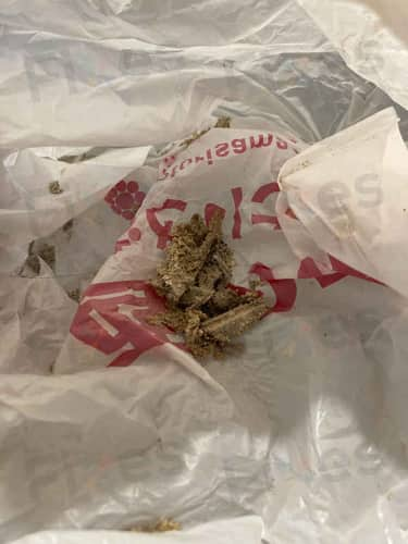 相關相片