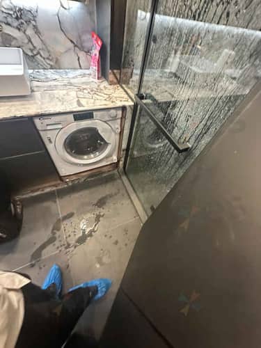 相關相片