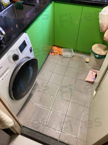 相關相片