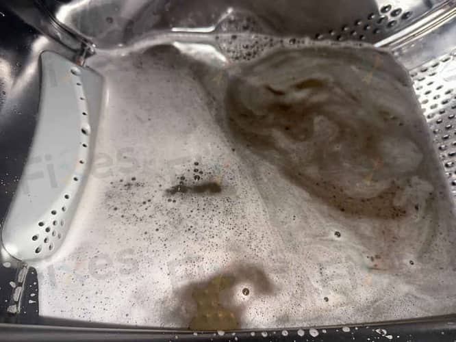 相關相片