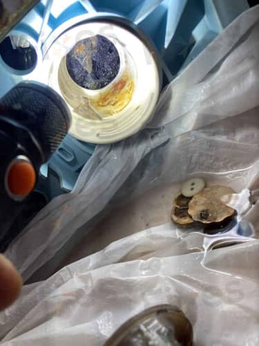 相關相片