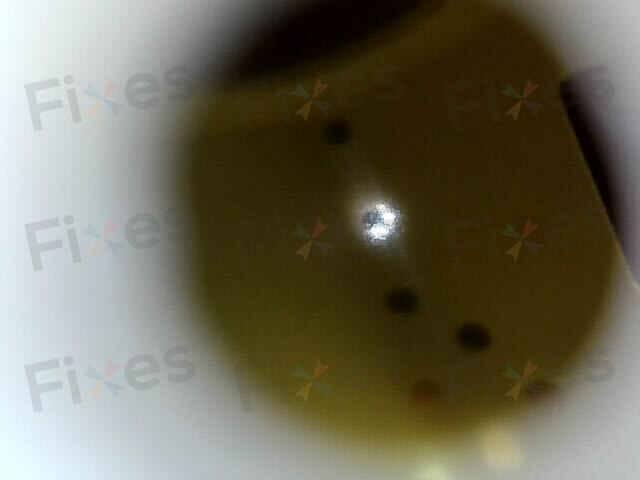 相關相片