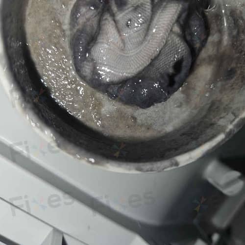 相關相片