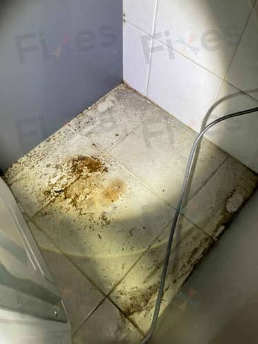 相關相片