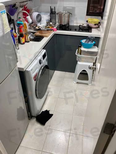相關相片