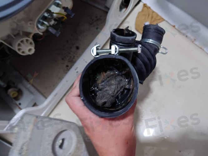 相關相片