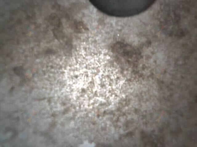 相關相片