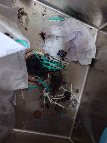 相關相片
