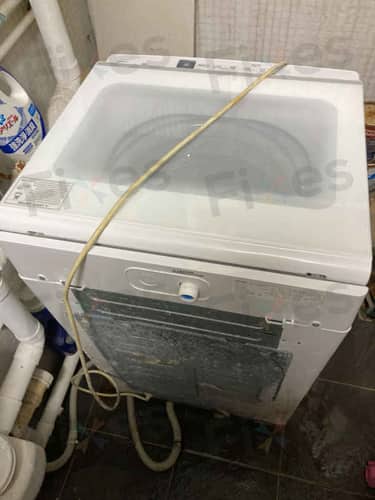 相關相片