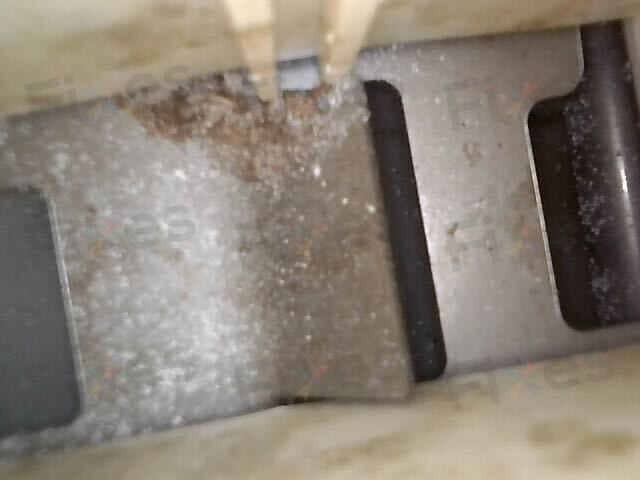 相關相片