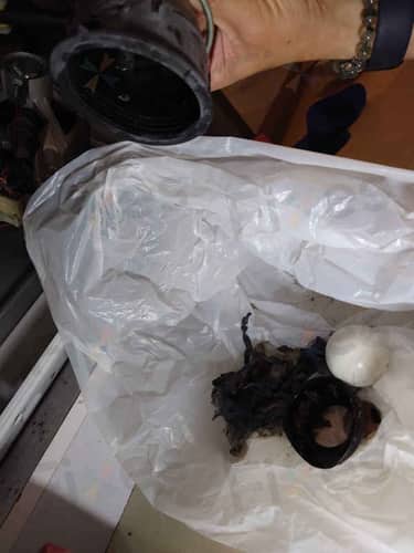 相關相片