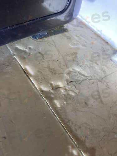 相關相片