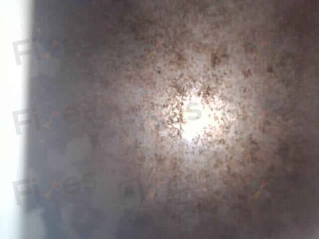相關相片