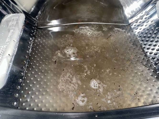 相關相片