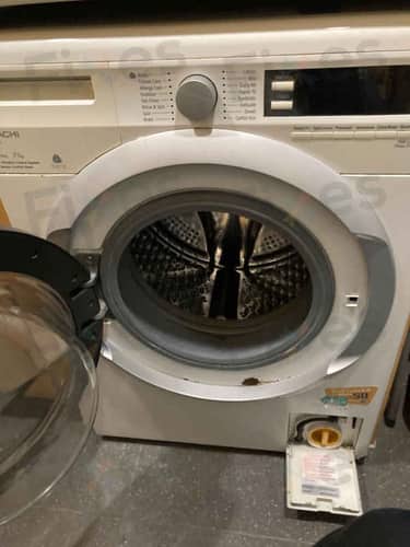 相關相片
