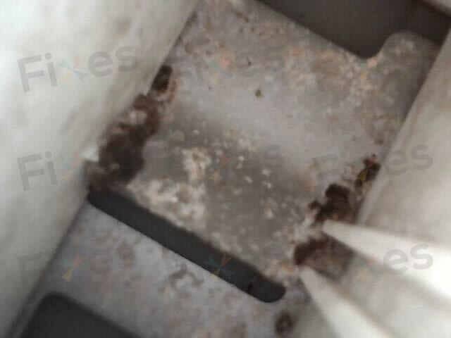 相關相片