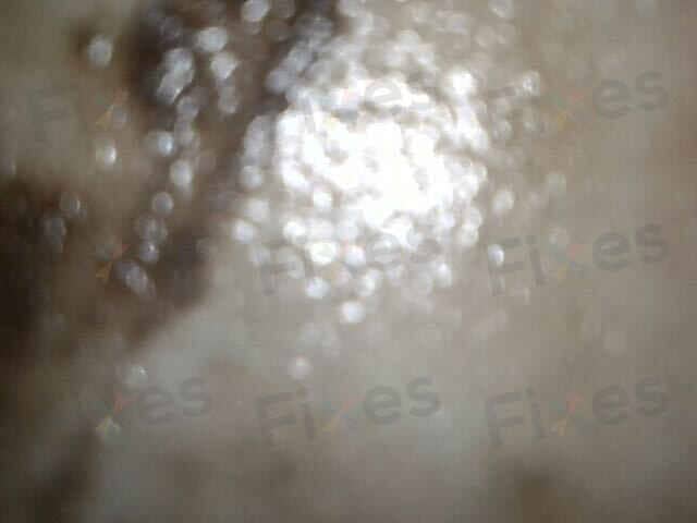 相關相片