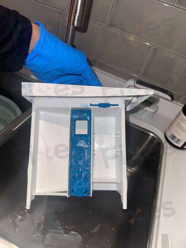 相關相片