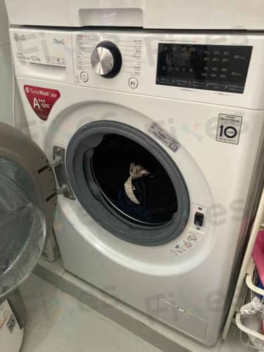 相關相片