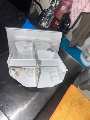 相關相片