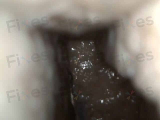 相關相片