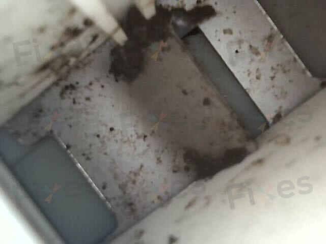 相關相片