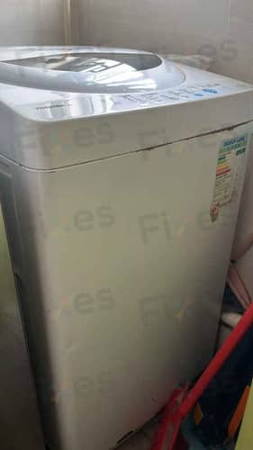相關相片