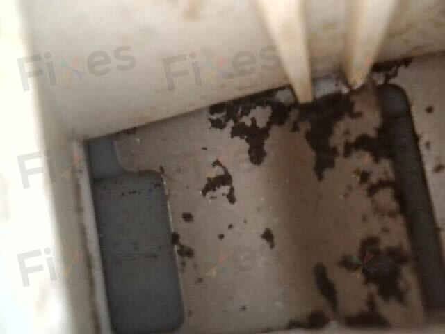 相關相片