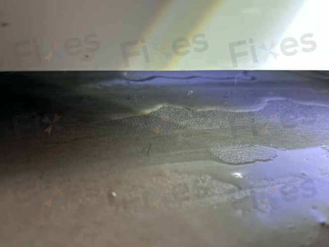 相關相片