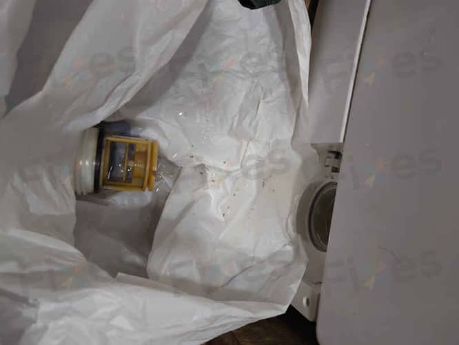 相關相片
