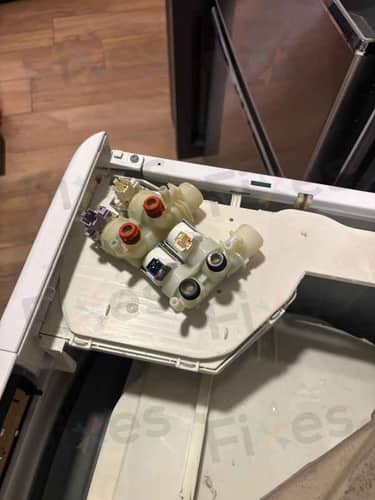 相關相片
