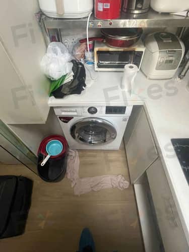 相關相片