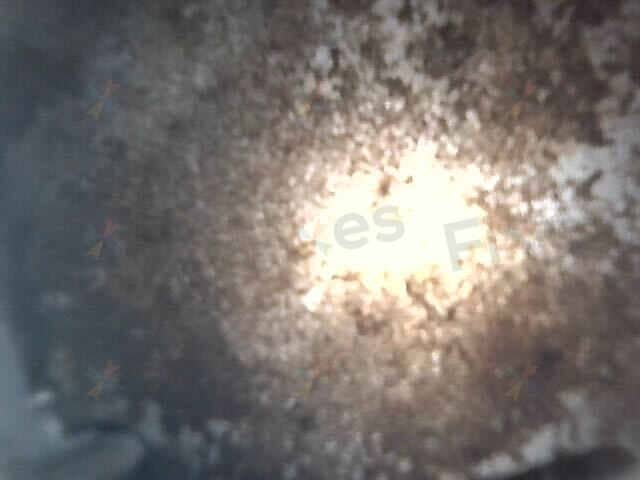 相關相片