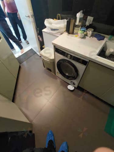 相關相片