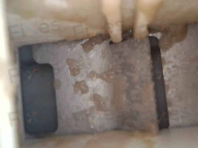 相關相片