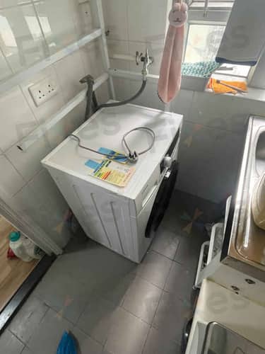 相關相片