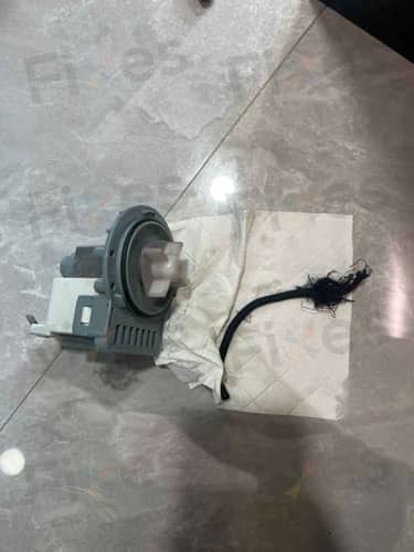 相關相片