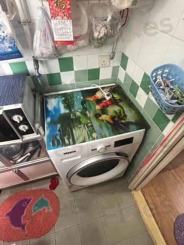 相關相片