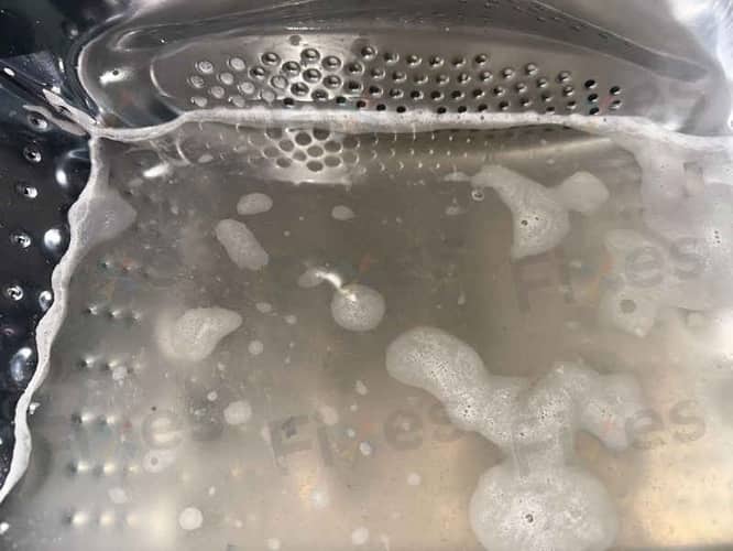 相關相片