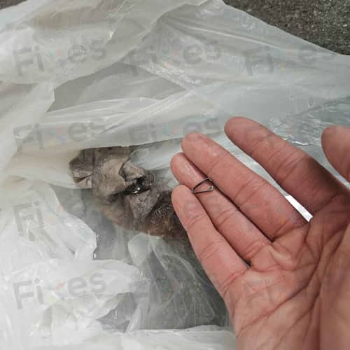 相關相片
