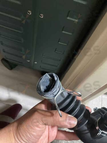 相關相片