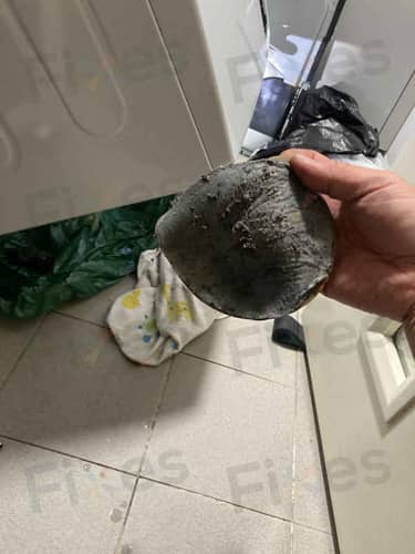 相關相片