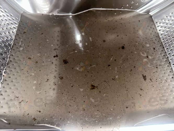相關相片