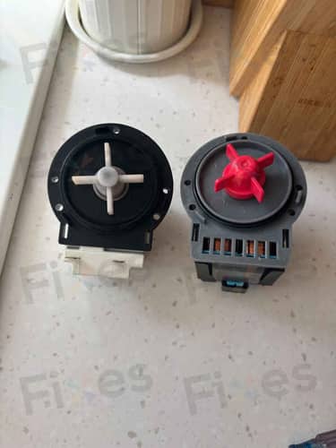相關相片