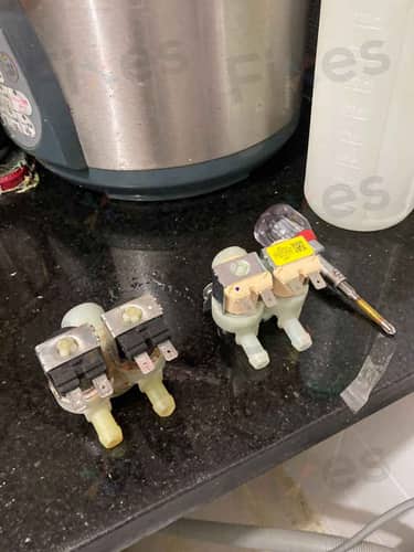 相關相片