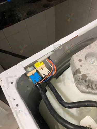 相關相片